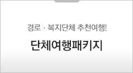 단체여행패키지